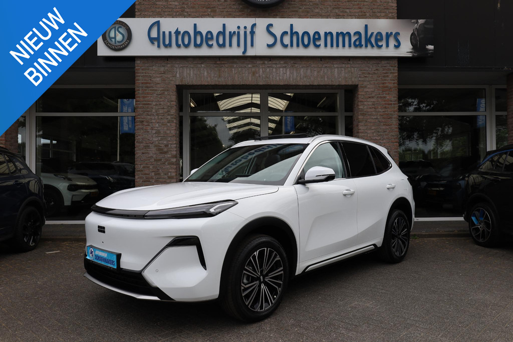 55379880