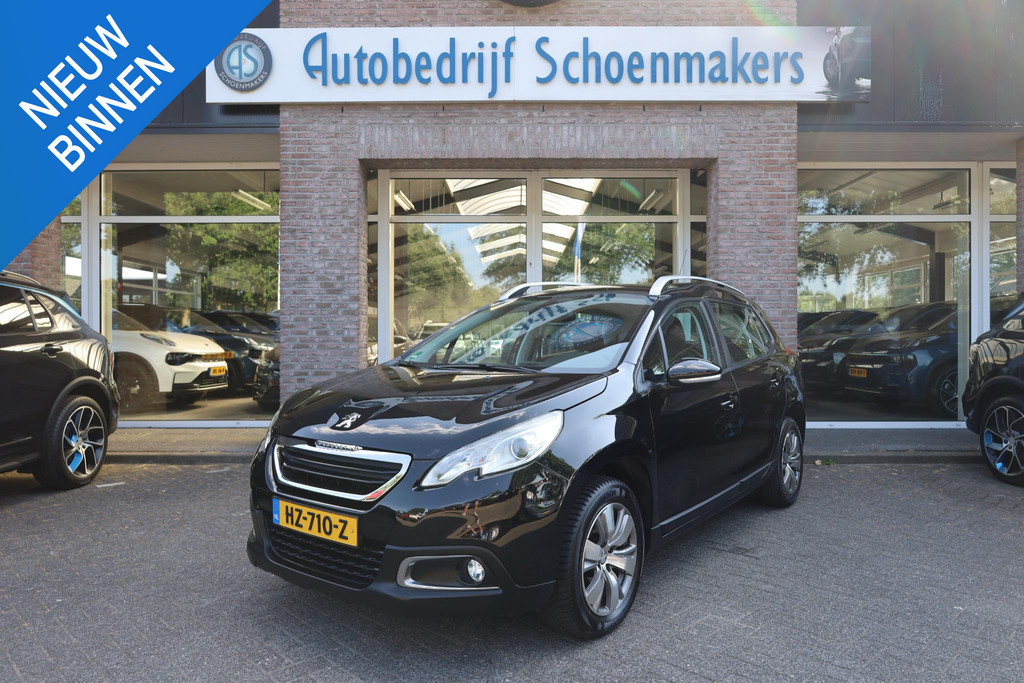 55438878