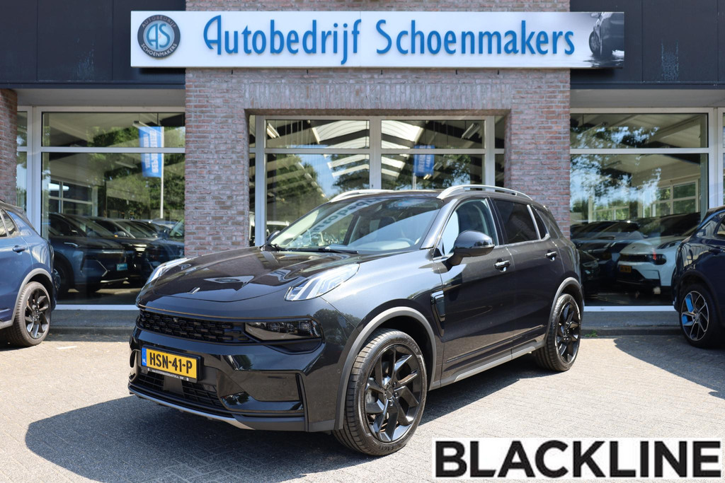 55495916