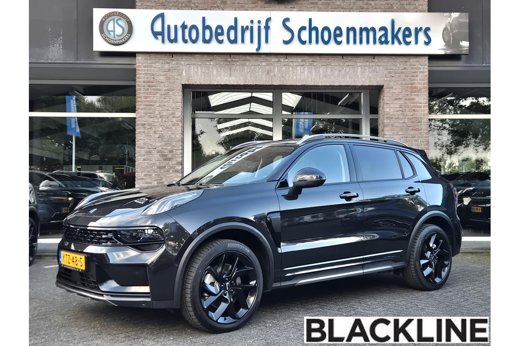 56137446